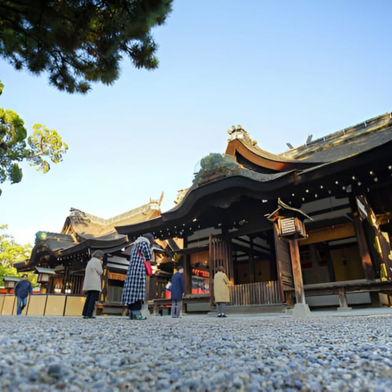 Nagano/ Tokyo: Snow Monkey Private Day Tour Fully Customised - How the Day Unfolds: The Itinerary in Detail