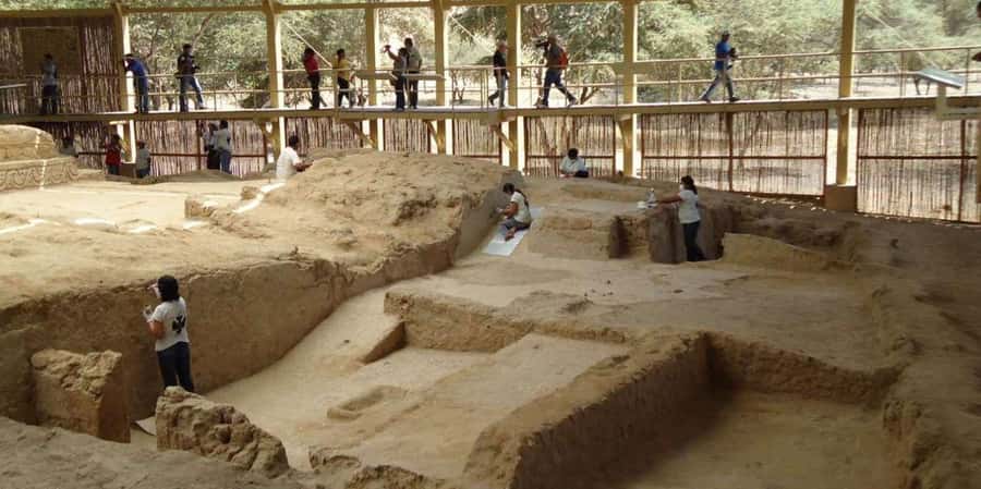 Chiclayo: Túcume's Pyramids and Pomac Rainforest - A Deep Dive into the Túcume and Pomac Experience