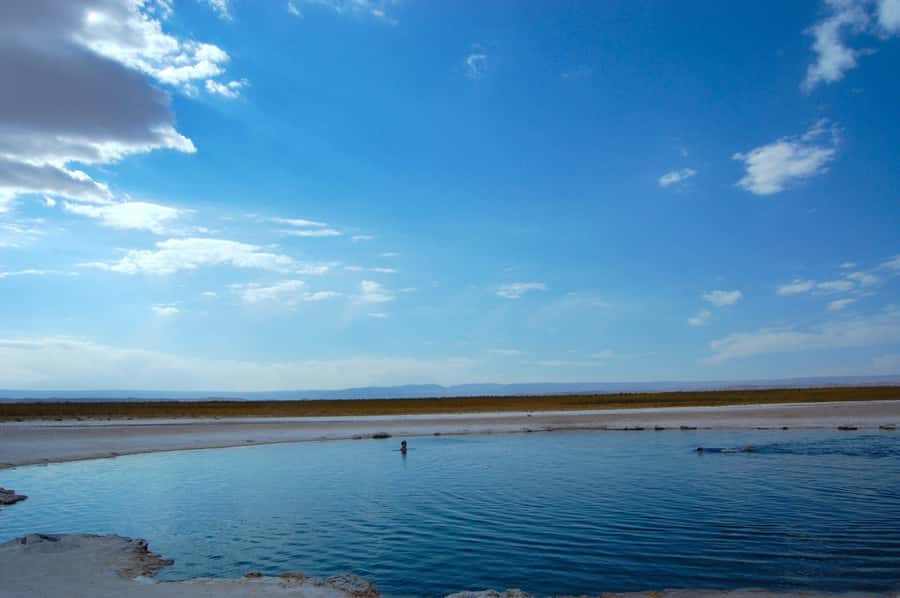 CEJAR LAGOON, SALT FLAT EYES AND TEBINQUINCHE LAGOON - Visiting the Salt Flats and Lagoons: What to Expect