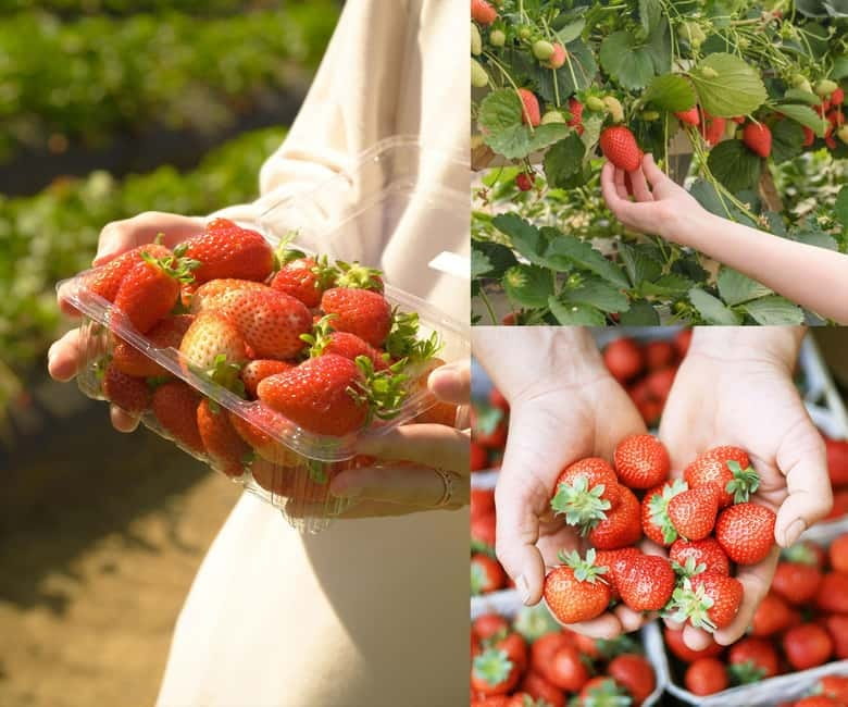 Gamaksan & IceWall Cafe & Eunpyeong HanokVillage & Jingwansa - Key Points