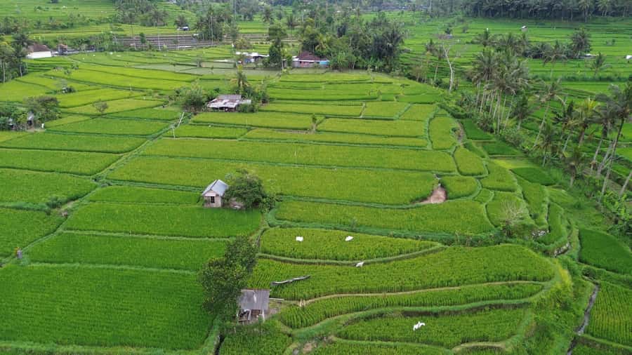 The Best Northern Bali: Waterfalls & Sacred Temple Adventure - Value & Practical Considerations