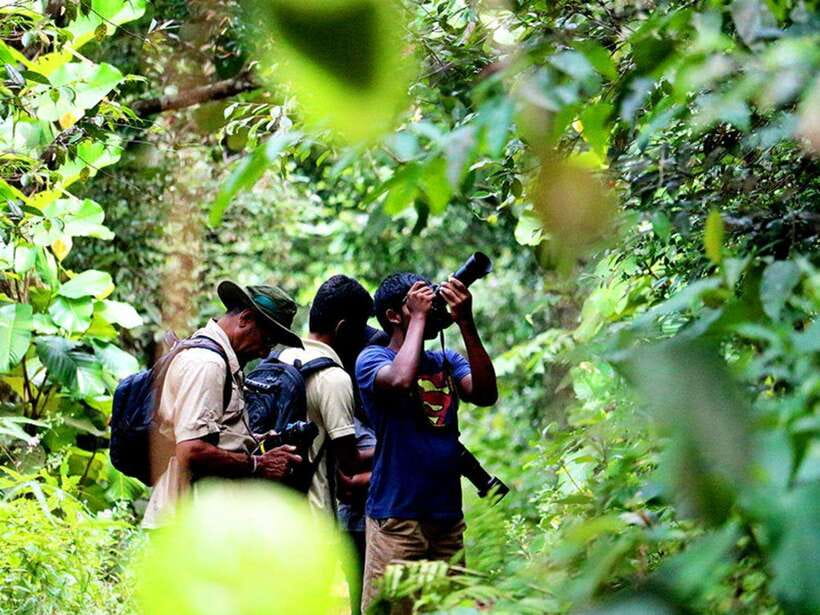 Sinharaja Rain Forest UNESCO Walk and Bird Watching Day Tour - Practical Details and Tips