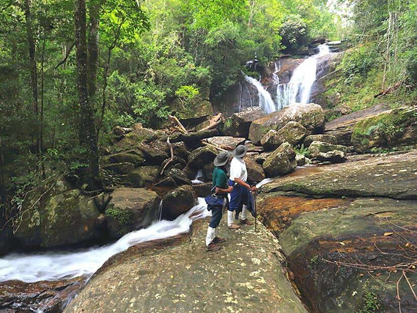 Sinharaja Rain Forest UNESCO Walk and Bird Watching Day Tour - Good To Know