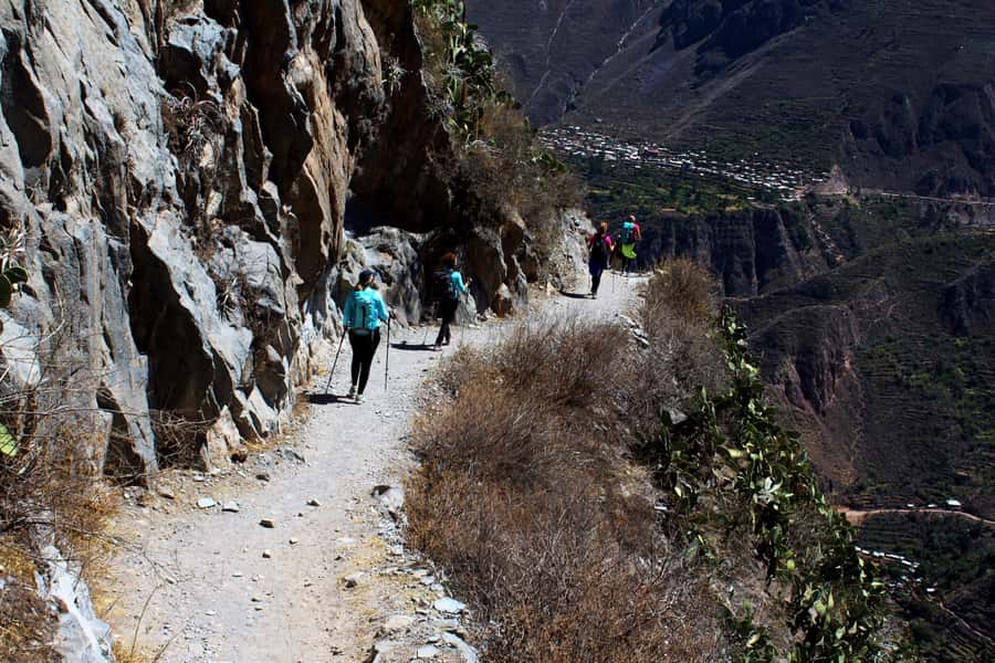 From Arequipa: Colca Canyon 2D Tour with End in Puno - The Sum Up