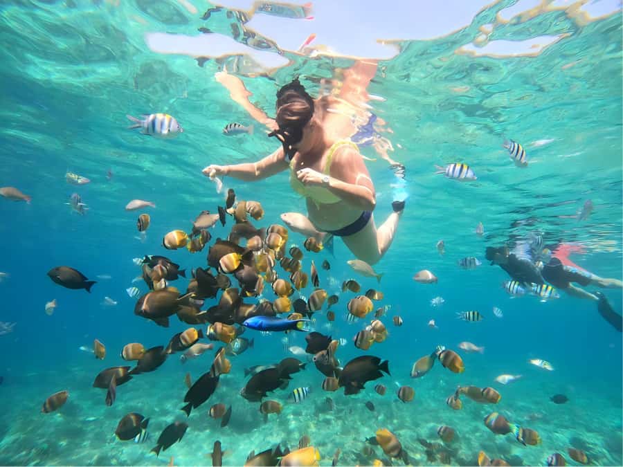 Gili Islands: Private Snorkeling Boat Tour with Local Guide - Good To Know