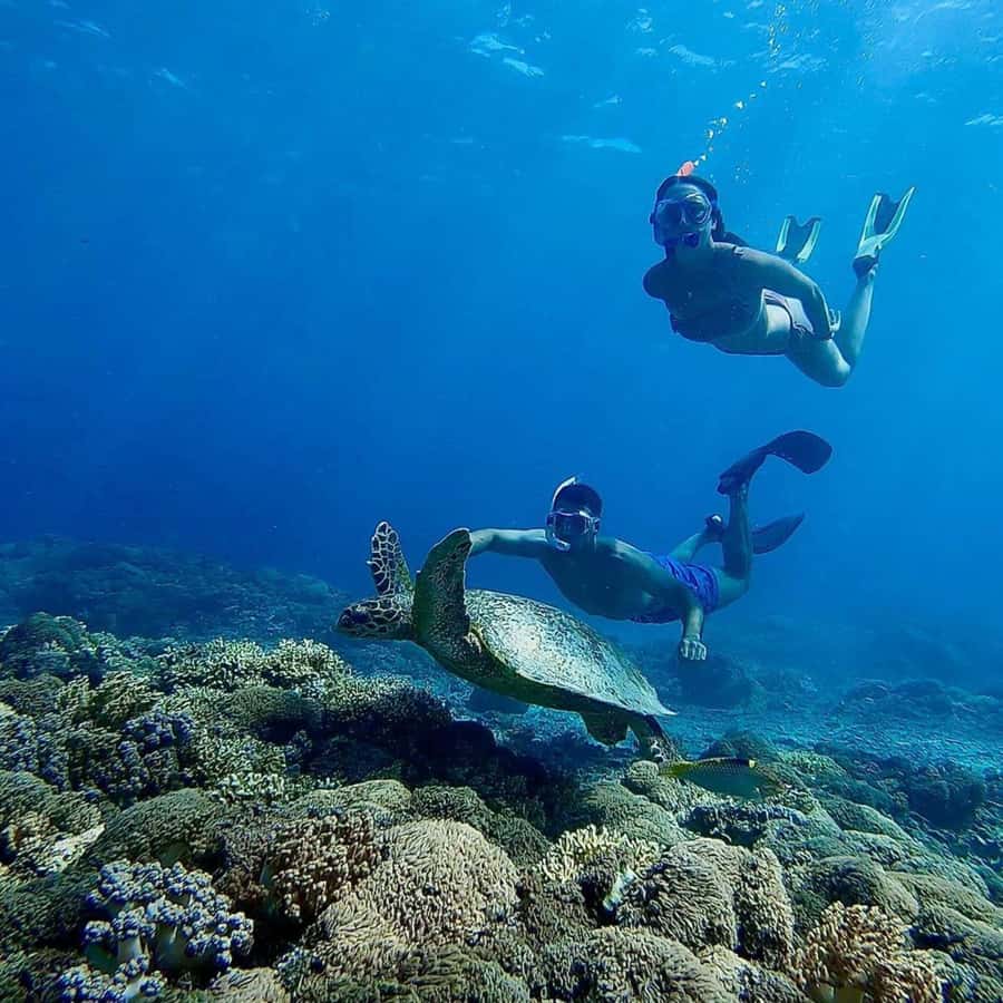 Gili Islands: Private Snorkeling Boat Tour with Local Guide - FAQ