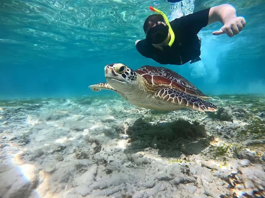 Gili Islands: Private Snorkeling Boat Tour with Local Guide - Final Thoughts