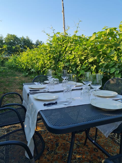 Castiglion Fiorentino: wine tasting with guided tour - Key Points