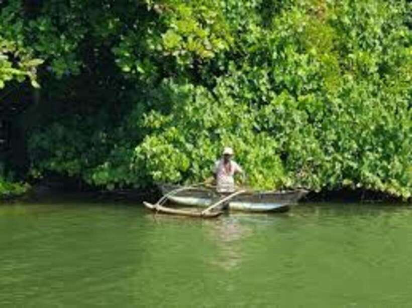 Bentota: River Safari with Hotel Pickup and Drop-Off - The Experience at a Glance