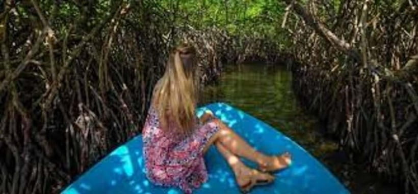 Bentota: River Safari with Hotel Pickup and Drop-Off - Authentic Feedback from Travelers