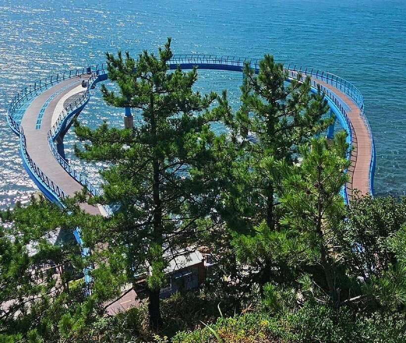 Private Minibus Tour in Busan for Cruise Guests 8-17 People - Why This Tour Works for Cruise Travelers