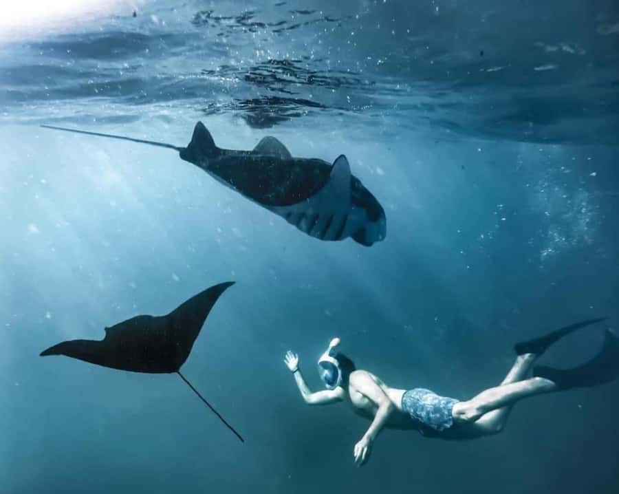 Bali: Nusa Penida Full-Day Trip with Snorkeling - Final Thoughts: Who Should Consider This Tour?