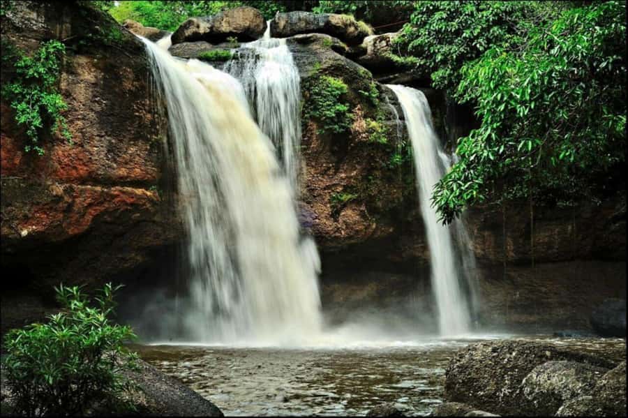 Bangkok: Khao Yai Nature Trails & Heaw Suwat Waterfall - Return Journey and Drop-off