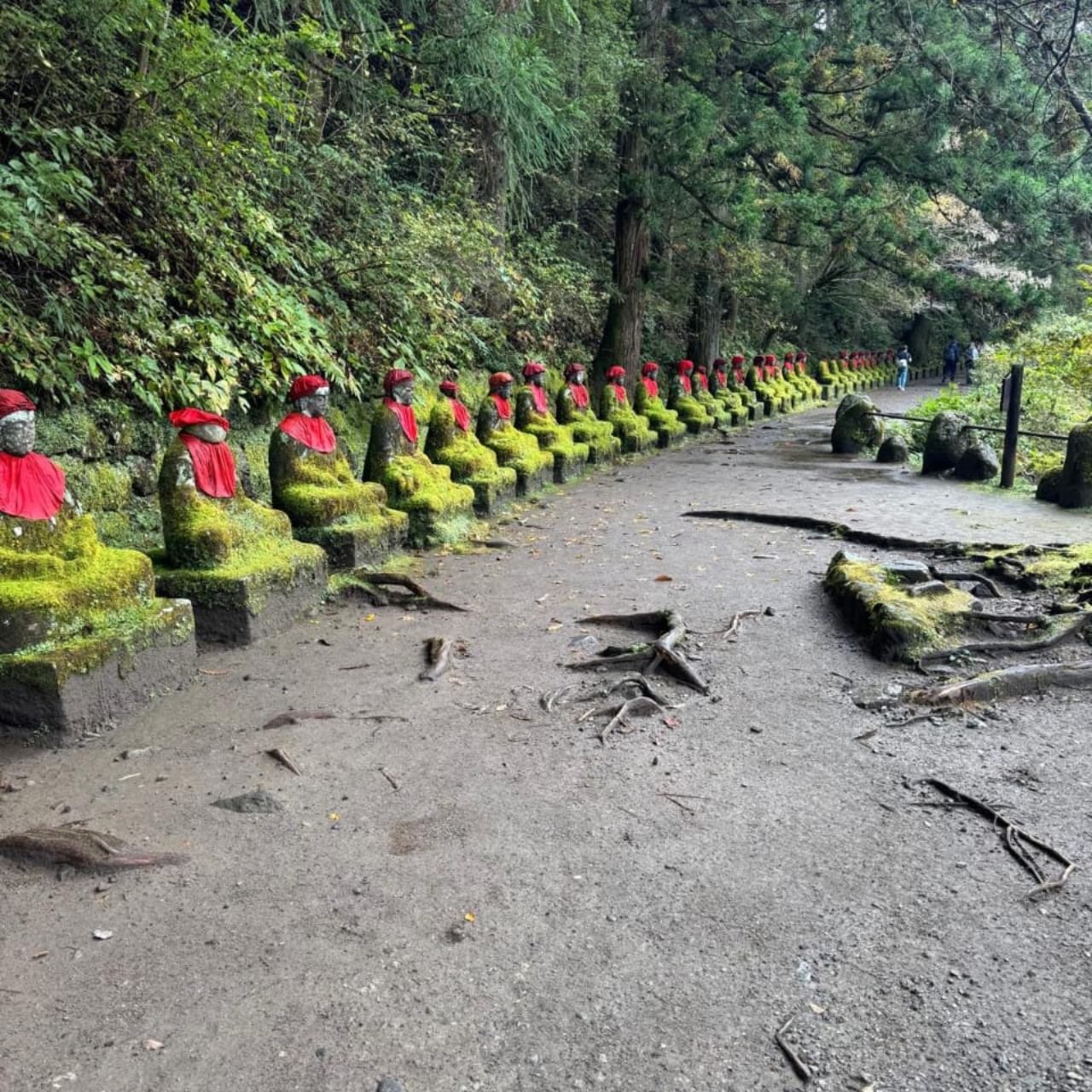 Tokyo  Nikko:Private Customizable Day Trip (English Driver) - The Sum Up