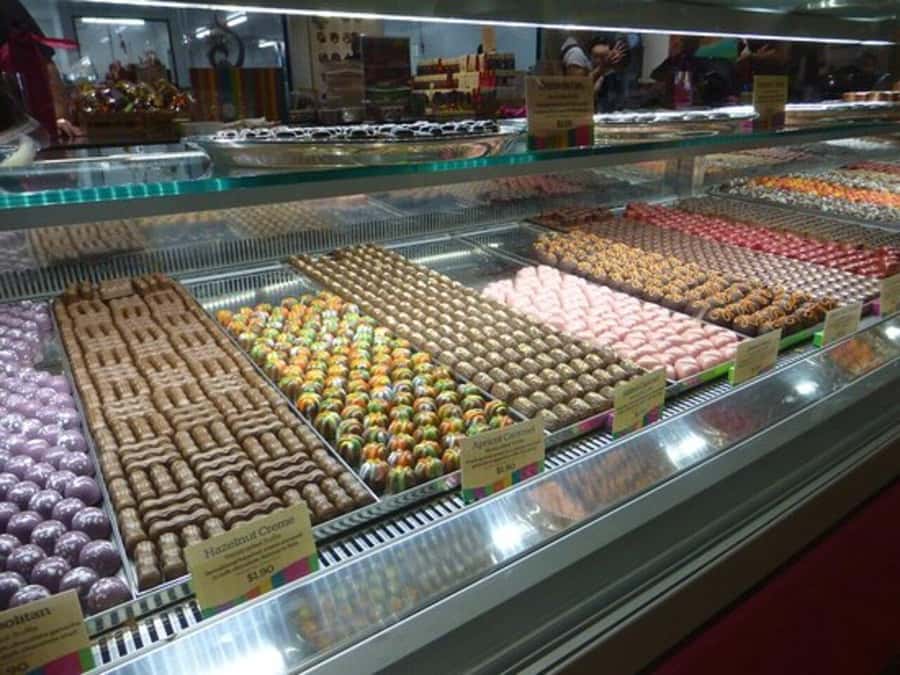 Great Ocean Road Tour Melbourne Relaxed Way In Premium coach - Wildlife Spotting and Final Highlights