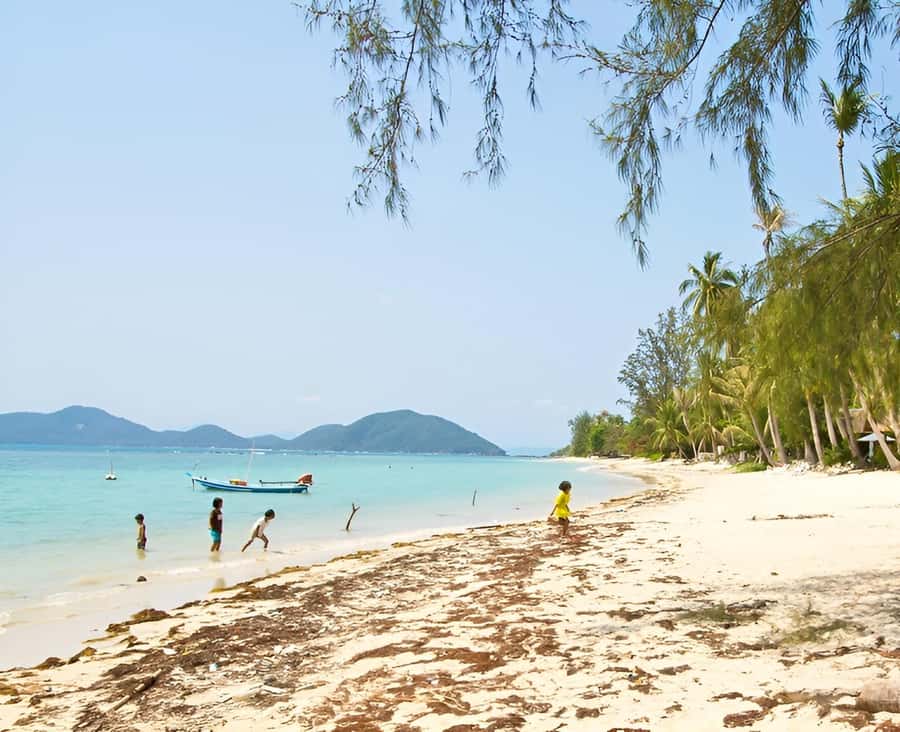 Zipline in Koh Samui Adventure activity tour - The Zipline Adventure: What to Expect