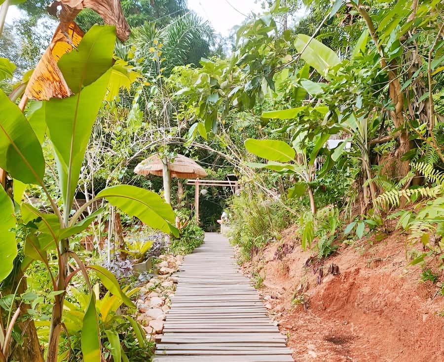 Zipline in Koh Samui Adventure activity tour - Frequently Asked Questions (FAQs)