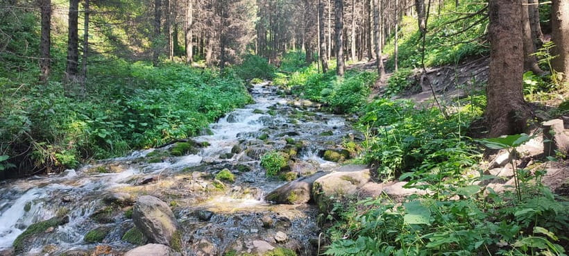 Almaty in a Day: Mountains and City Highlights - Key Points