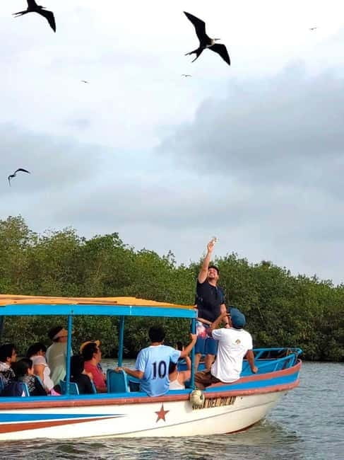 Mancora: Puerto Pizarro - Tour Mangrove Mysteries - An In-Depth Look at the Mangrove Mysteries Tour