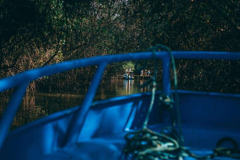 Mancora: Puerto Pizarro - Tour Mangrove Mysteries - How the Experience Adds Value