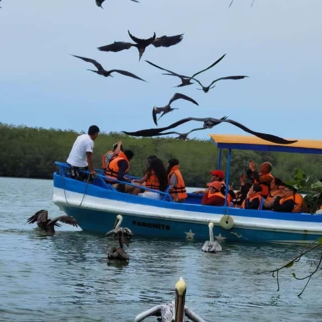 Mancora: Puerto Pizarro - Tour Mangrove Mysteries - The Sum Up