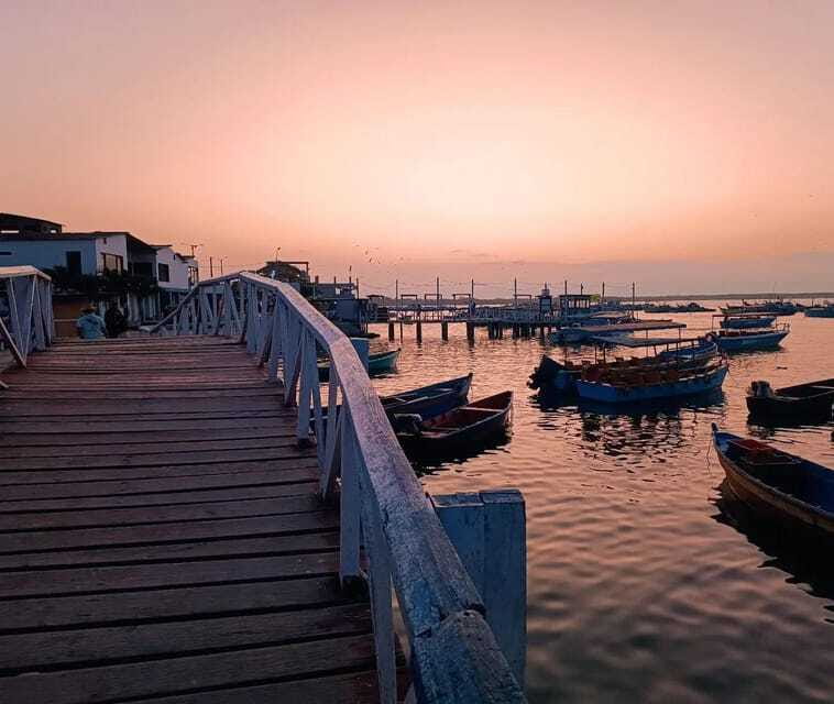 Mancora: Puerto Pizarro - Tour Mangrove Mysteries - Frequently Asked Questions