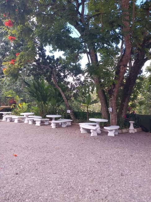 Ocho Rios: Sightseeing& Beach With stops for Lunch& Shopping - Oceans on the Ridge: Breathtaking Panoramic Views