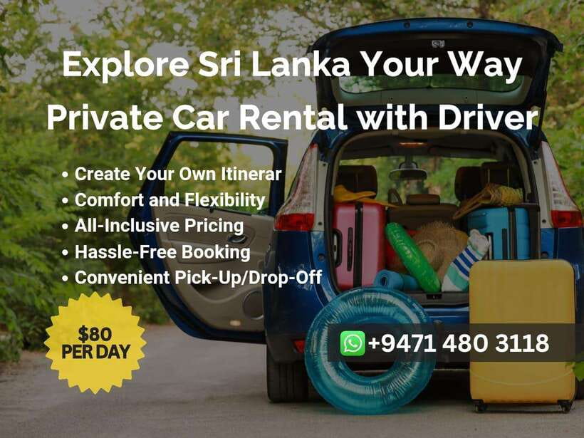 Sri Lanka Car Rental with Driver - 3 Days Minimum, 180km/Day - Who Will Love This Experience?