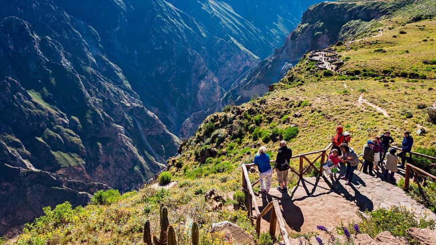 Arequipa: Colca Canyon and Thermal Baths Day Tour - An In-Depth Look at the Arequipa: Colca Canyon and Thermal Baths Tour