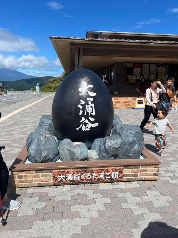 Mount Fuji & Hakone Private Tour with Cherry Blossoms - Key Points