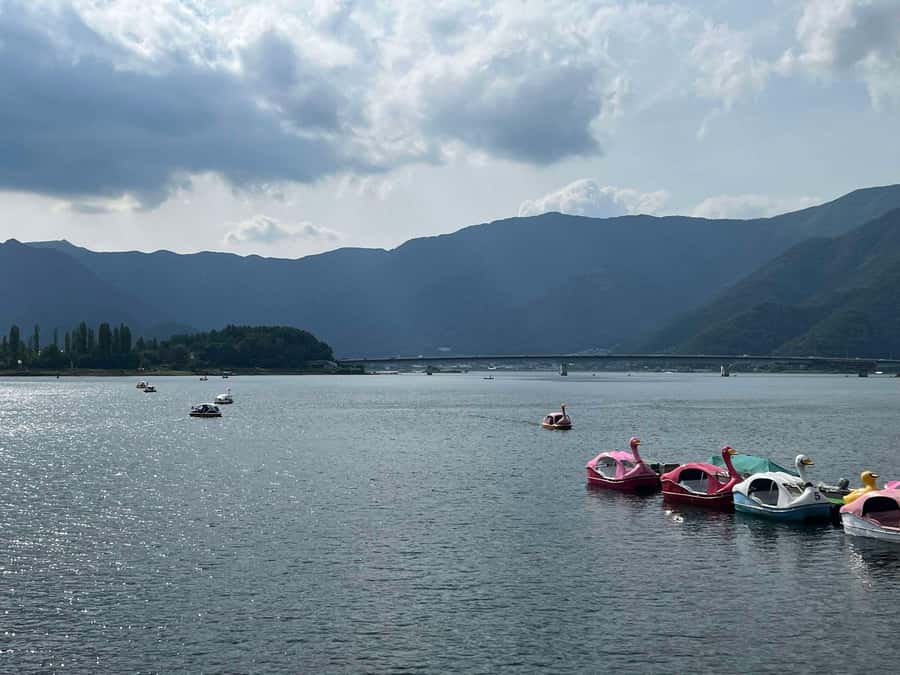 Mount Fuji & Hakone Private Tour with Cherry Blossoms - Who Will Love This Tour?