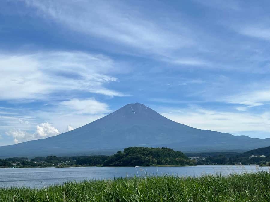 Mount Fuji & Hakone Private Tour with Cherry Blossoms - A Deep Dive into the Tour Experience