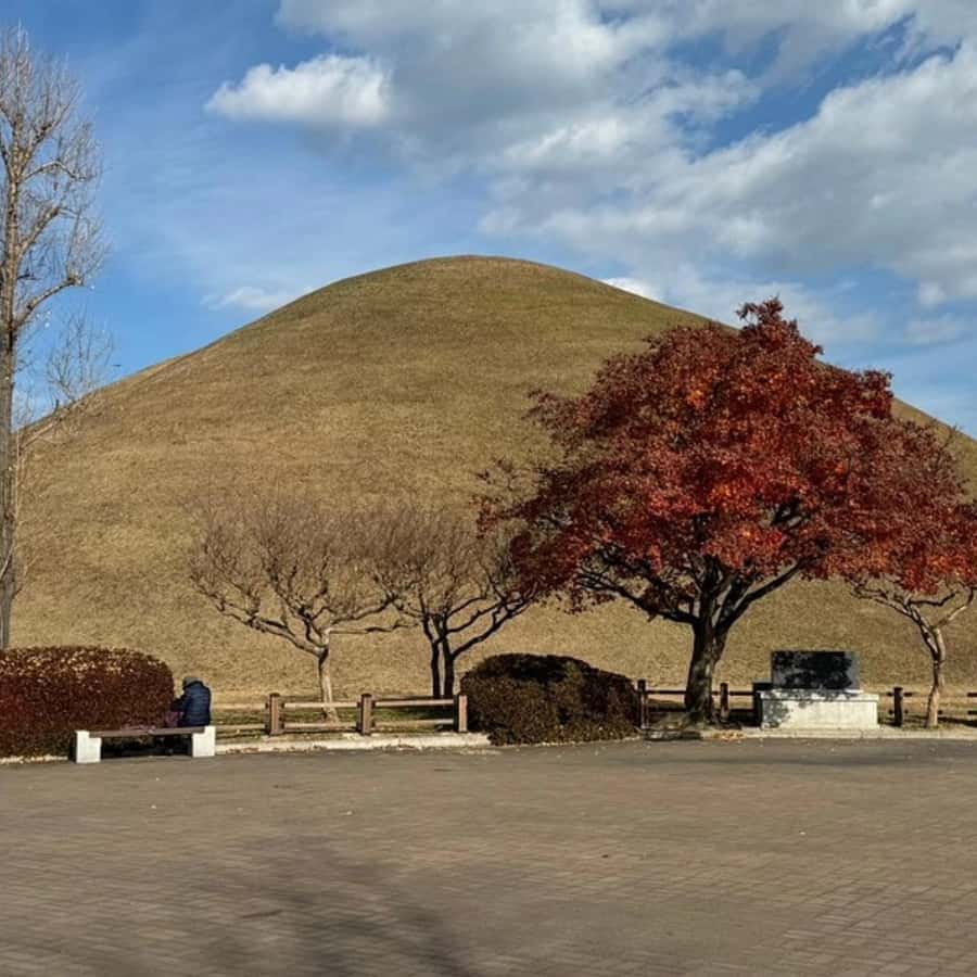 Gyeongju: Private Car Tour UNESCO Site & Yangdong Village - FAQ  