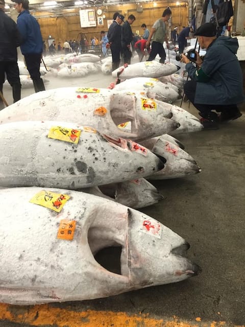 Tokyo: Tsukiji Fish Market Foodie and Educational Tour - Is It Worth the Price?
