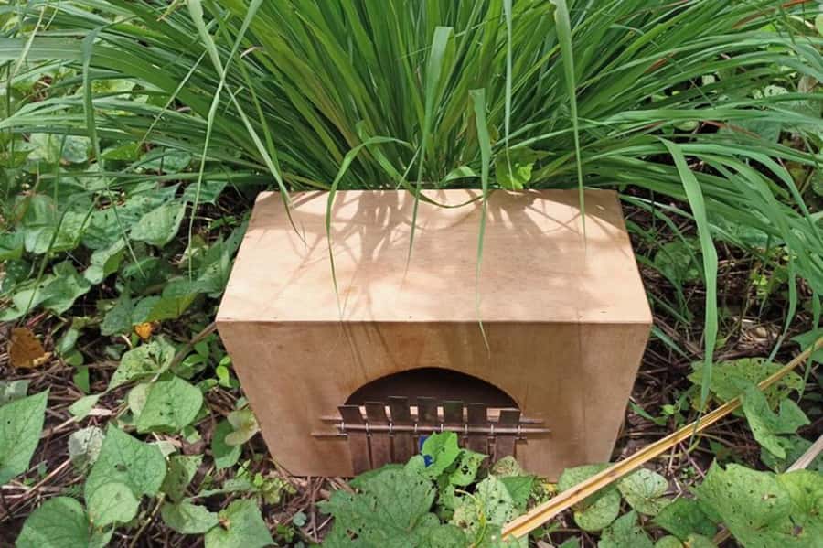 Cartagena: Freedom Tour of San Basilio de Palenque - Lunch and Refreshments: Tasting Authentic Palenquero Cuisine