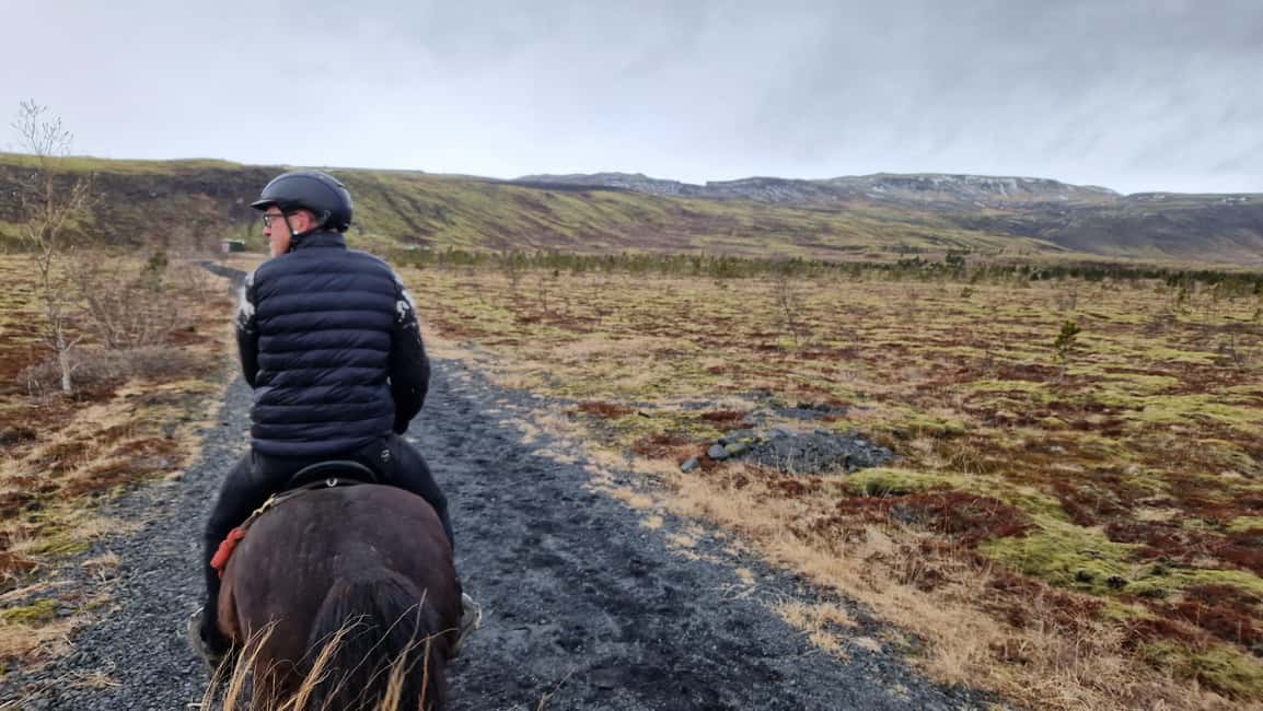 Reykjadalur: Horseback Riding Tour for Families & Beginners - Authentic Experiences and Real Traveler Feedback