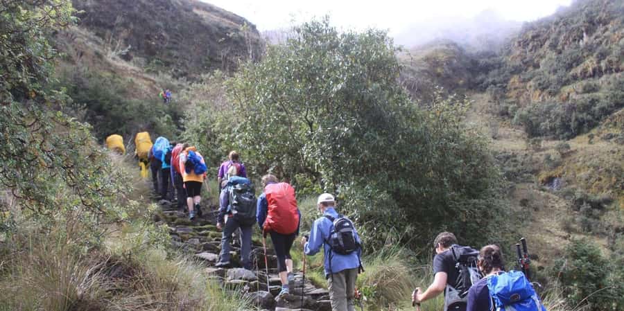 Inca Trail to Machu Picchu in 2 days - A Deep Dive into the 2-Day Inca Trail Experience