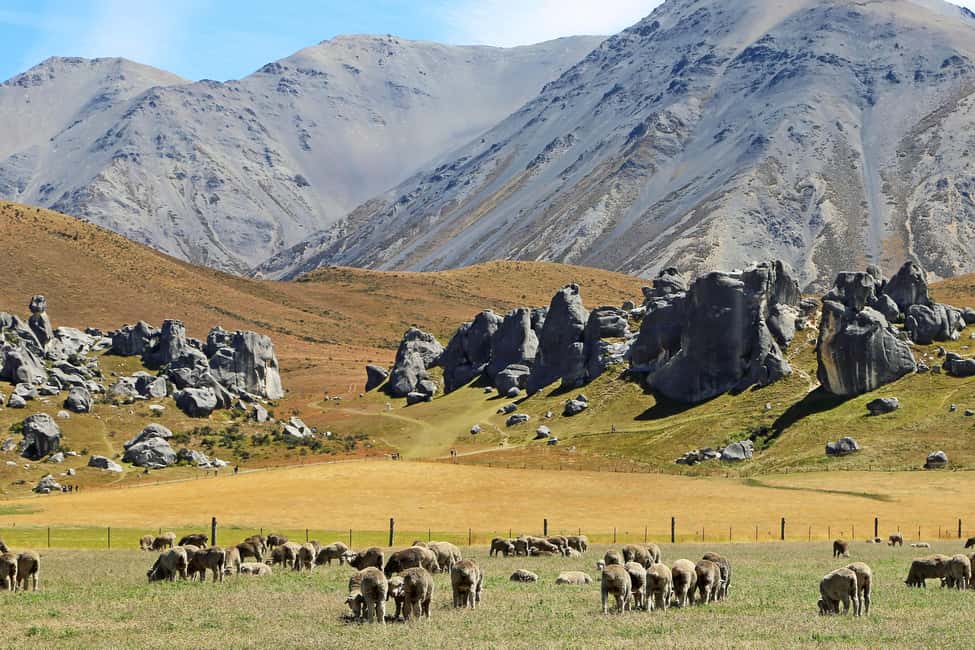 Lyttelton: Shore Excursion, Castle Hill & Inland Canterbury - The Heart of the Tour: Castle Hill / Kura Tawhiti