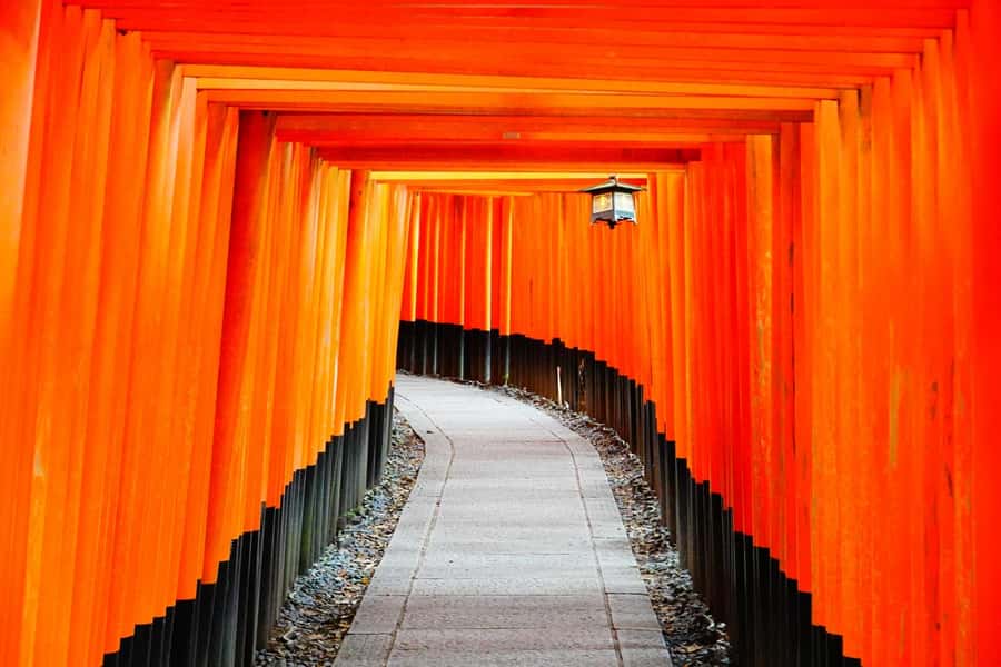 From Osaka/Kyoto: Arashiyama, Nara Park & Fushimi Inari Tour - An In-Depth Look at the Tour Experience
