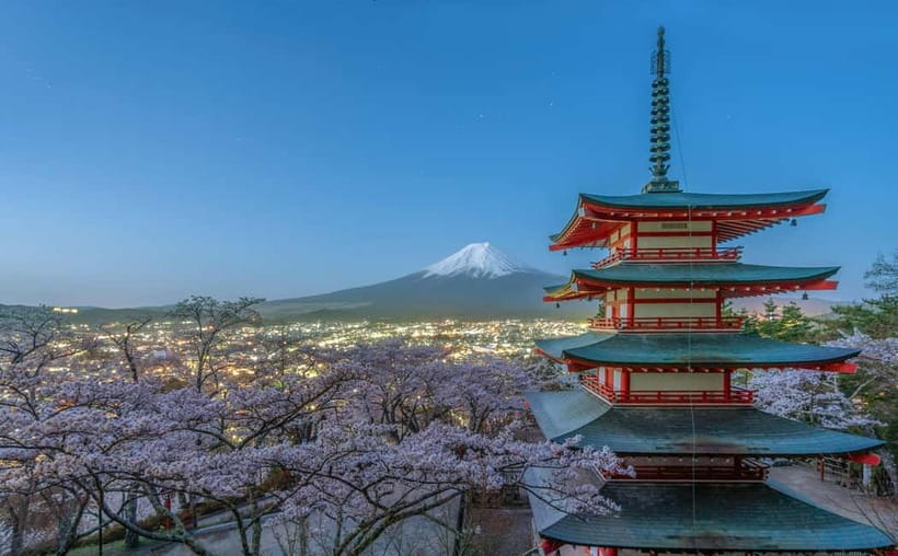 From Tokyo: Mount Fuji And Hakone Private Full Day Trip - Who This Tour Is Best For