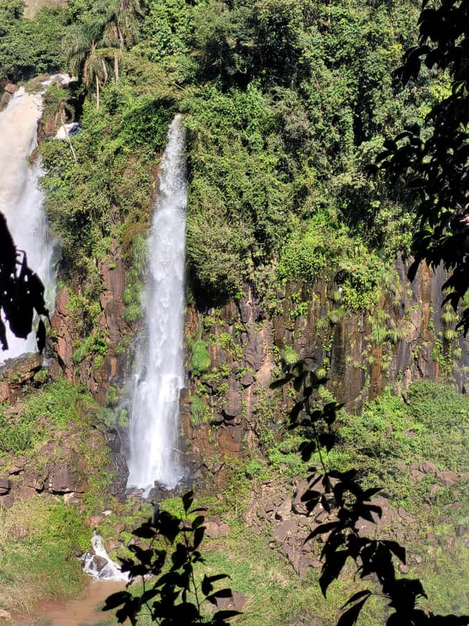 Iguazu Falls: Guided Tour in Argentinean Side - Key Points