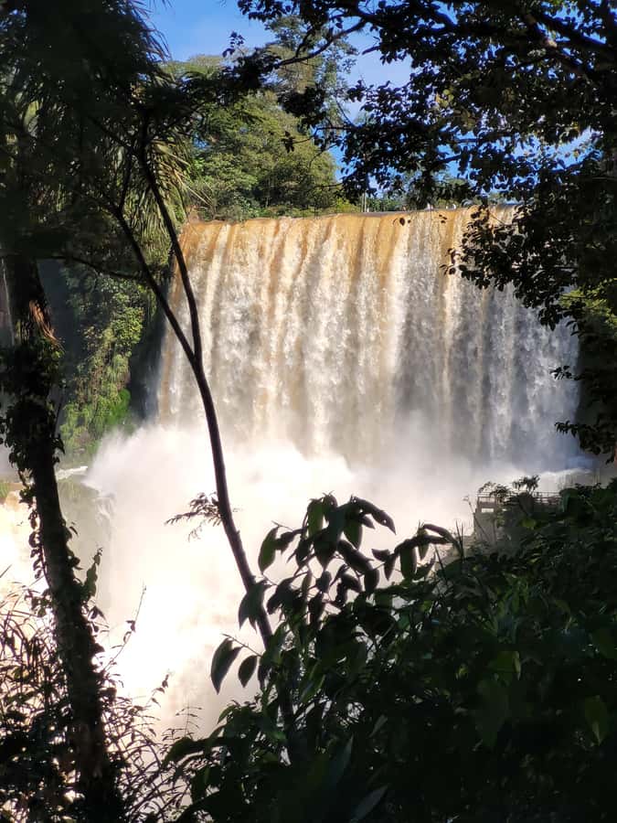 Iguazu Falls: Guided Tour in Argentinean Side - Exploring Iguazu Falls: A Deep Dive into the Experience