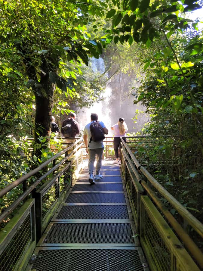 Iguazu Falls: Guided Tour in Argentinean Side - An Authentic Day at Iguazu Falls: Guided Tour in Argentinean Side