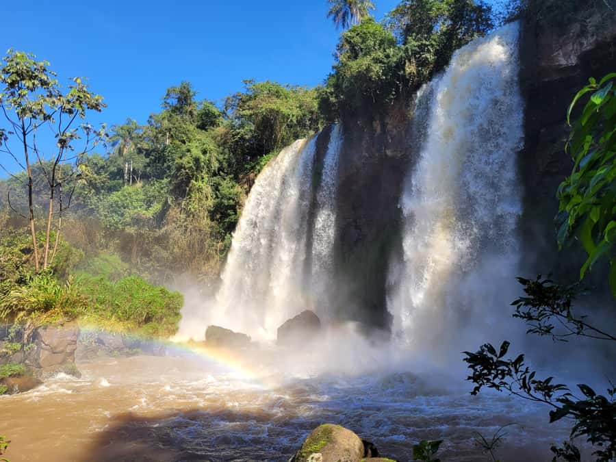 Iguazu Falls: Guided Tour in Argentinean Side - Who Should Consider This Tour?