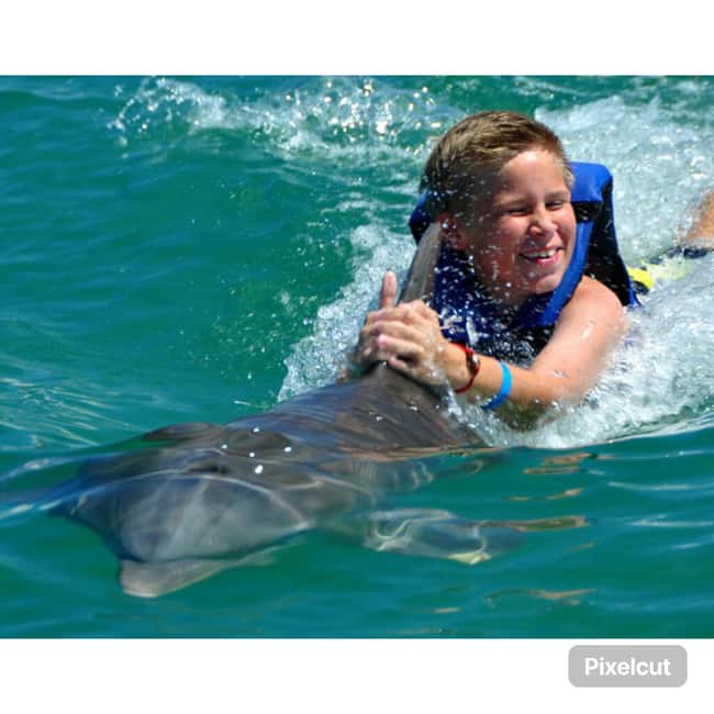 Punta Cana: Dolphin Park Entry and Swim with Dolphins - An In-Depth Look at the Dolphin Park Experience