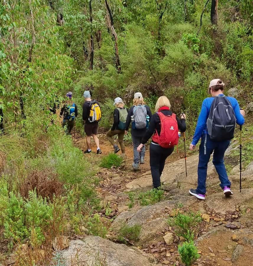 Collie: Hike, Wine & Dine Experience - Key Points