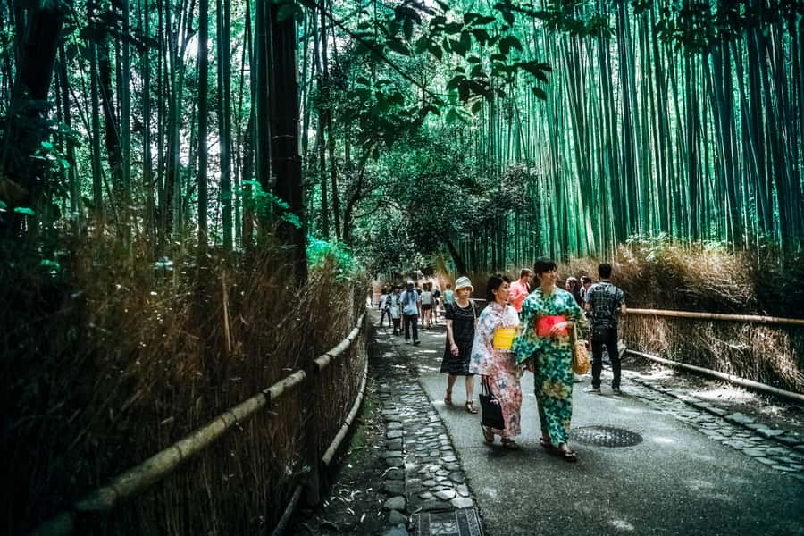 Kyoto Early Bird English Tour: Fushimi-Inari and Arashiyama - Final Thoughts