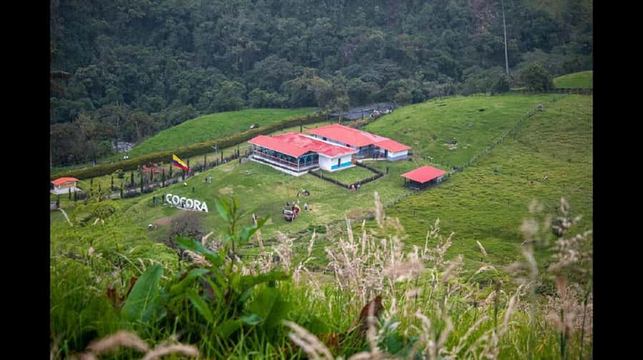 From Salento: Cocora Valley Hiking Tour with Lunch - From Salento: Cocora Valley Hiking Tour with Lunch — A Deep Dive