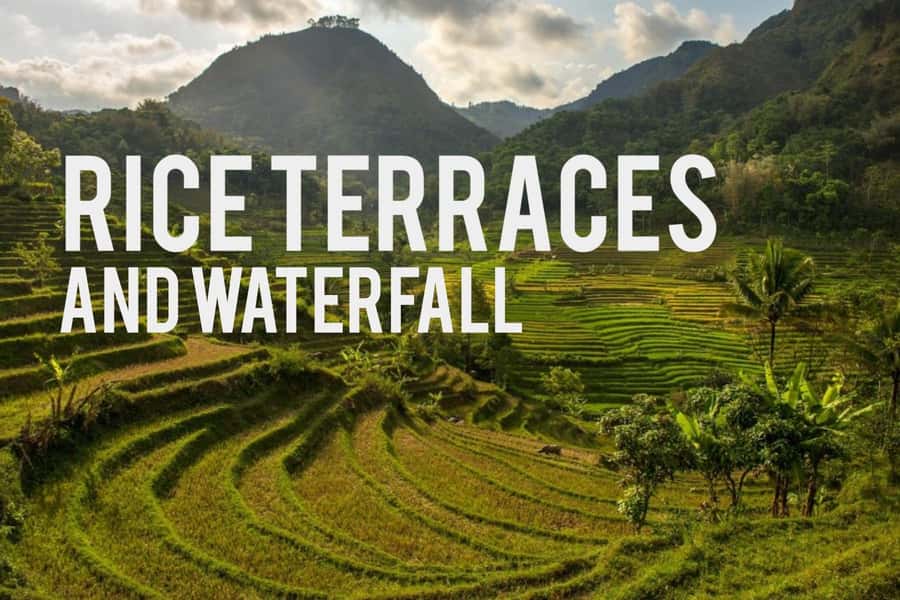 Yogyakarta Rice Terraces Hike and Kedungkayang Waterfall - A Deep Dive into the Experience