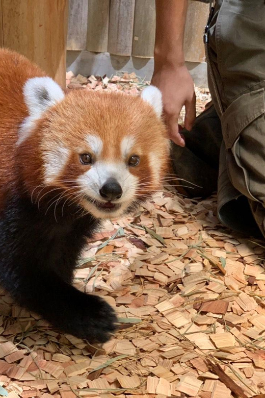 Shizuoka: Atagawa Tropical & Alligator Garden Entrance - An In-Depth Look at the Atagawa Tropical & Alligator Garden
